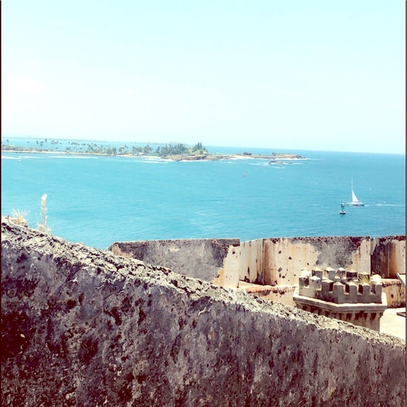 Meet your Posher, Chloe - Picture 1 of 1